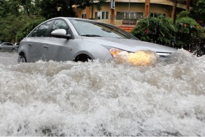 Bảo hiểm nỗ lực cắt dây lỗ nghiệp vụ